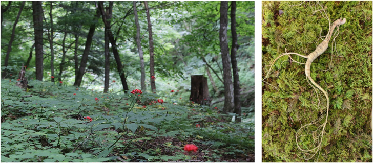 微信截圖_20240114105844